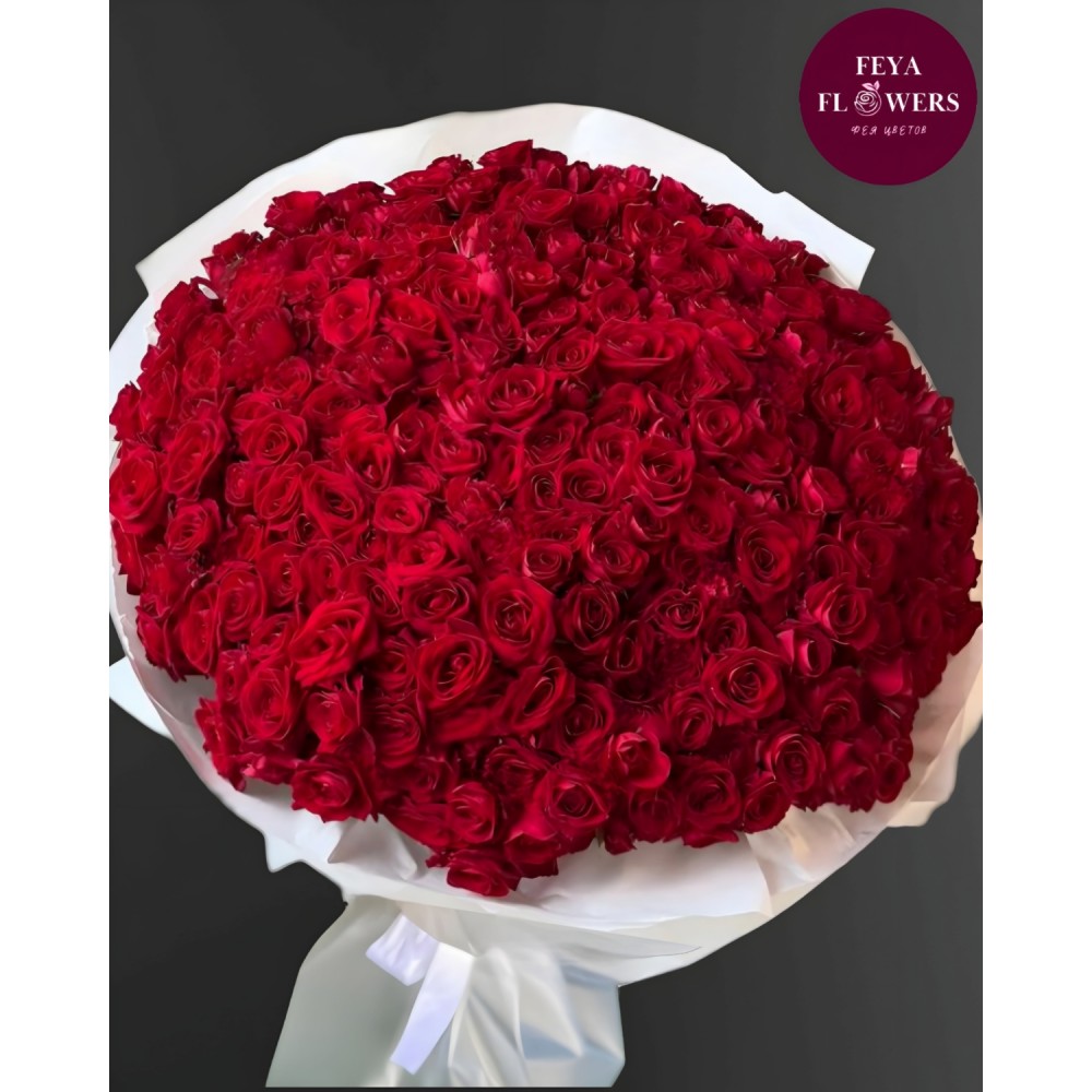 Bouquet of 501 red roses
